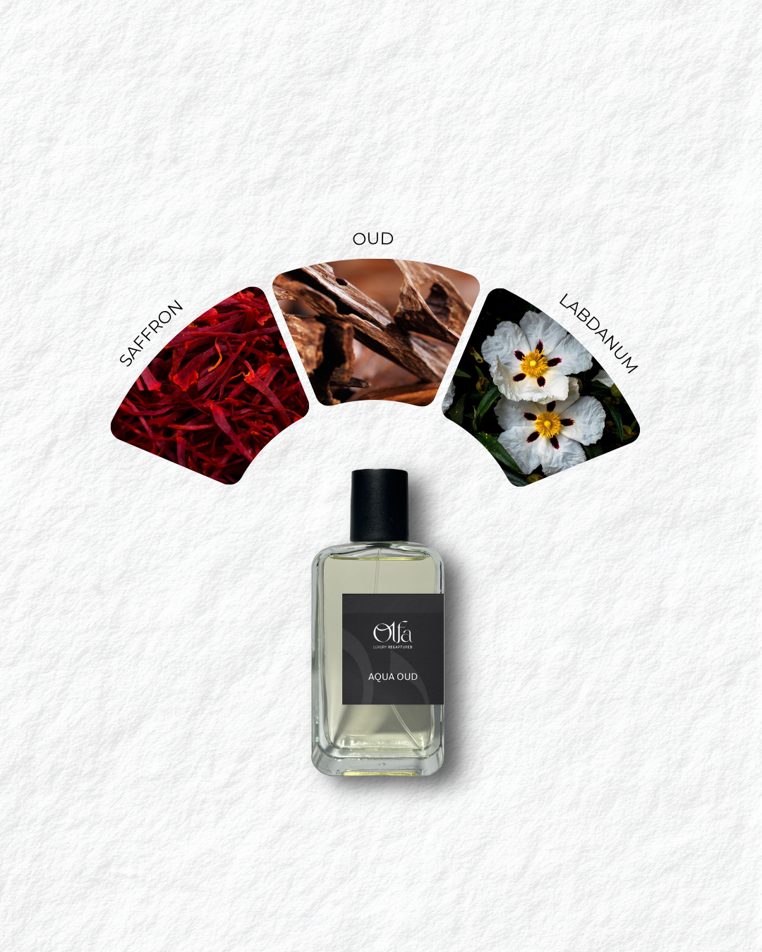 AQUA Oud