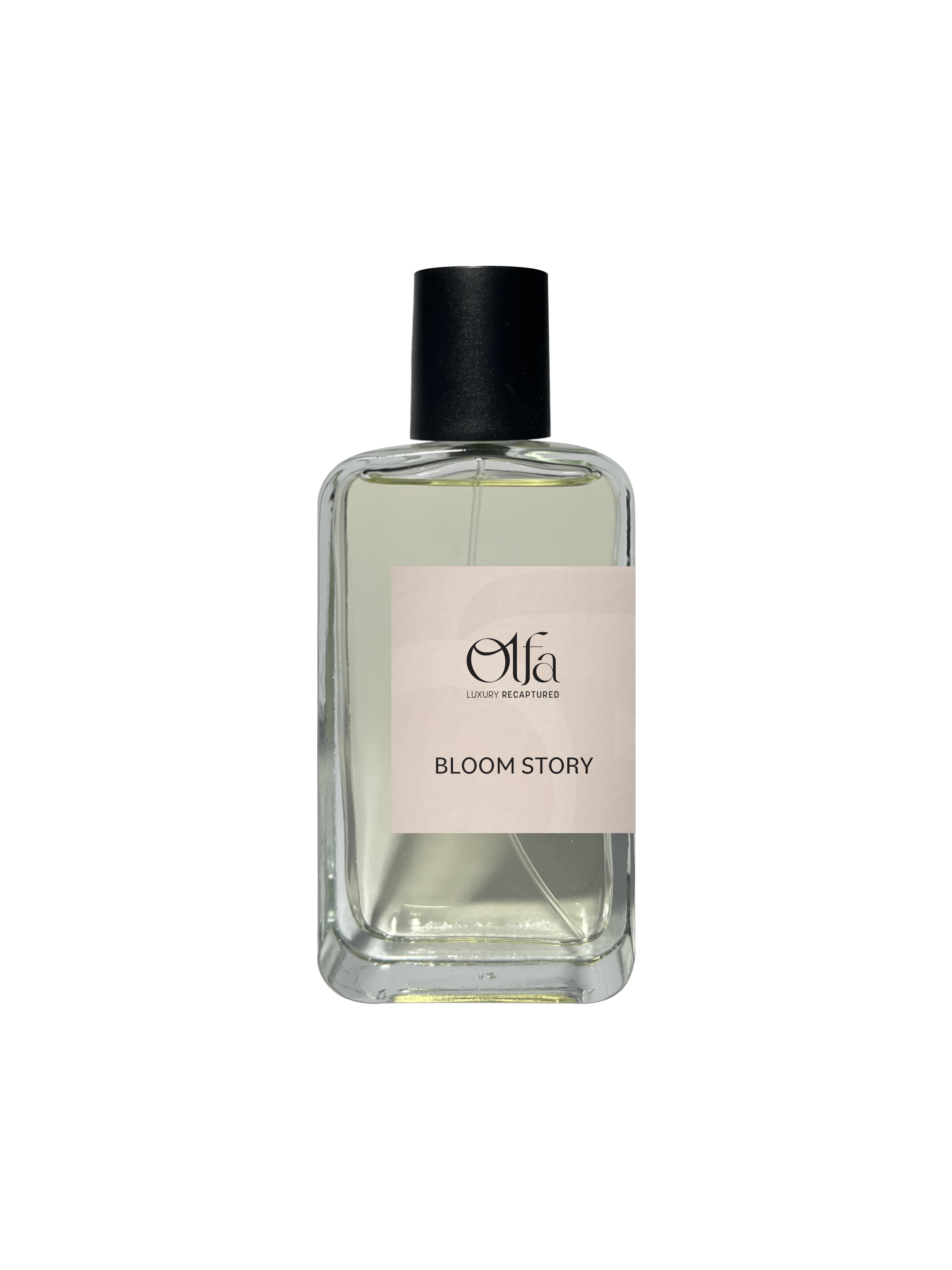 Bloom Story