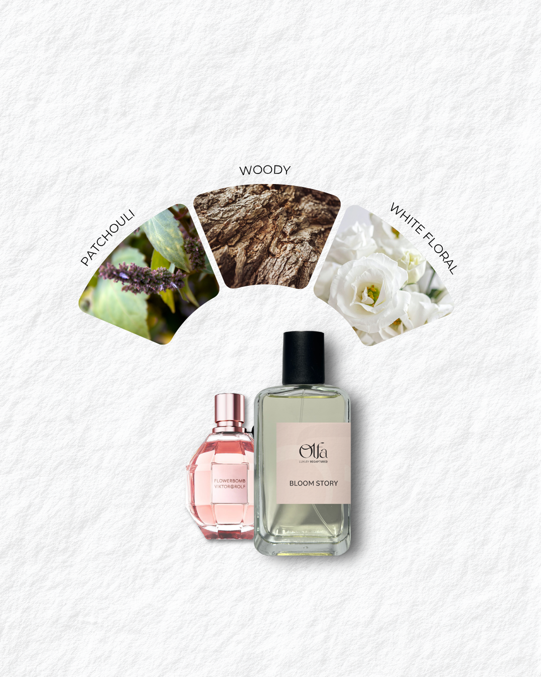 Bloom Story