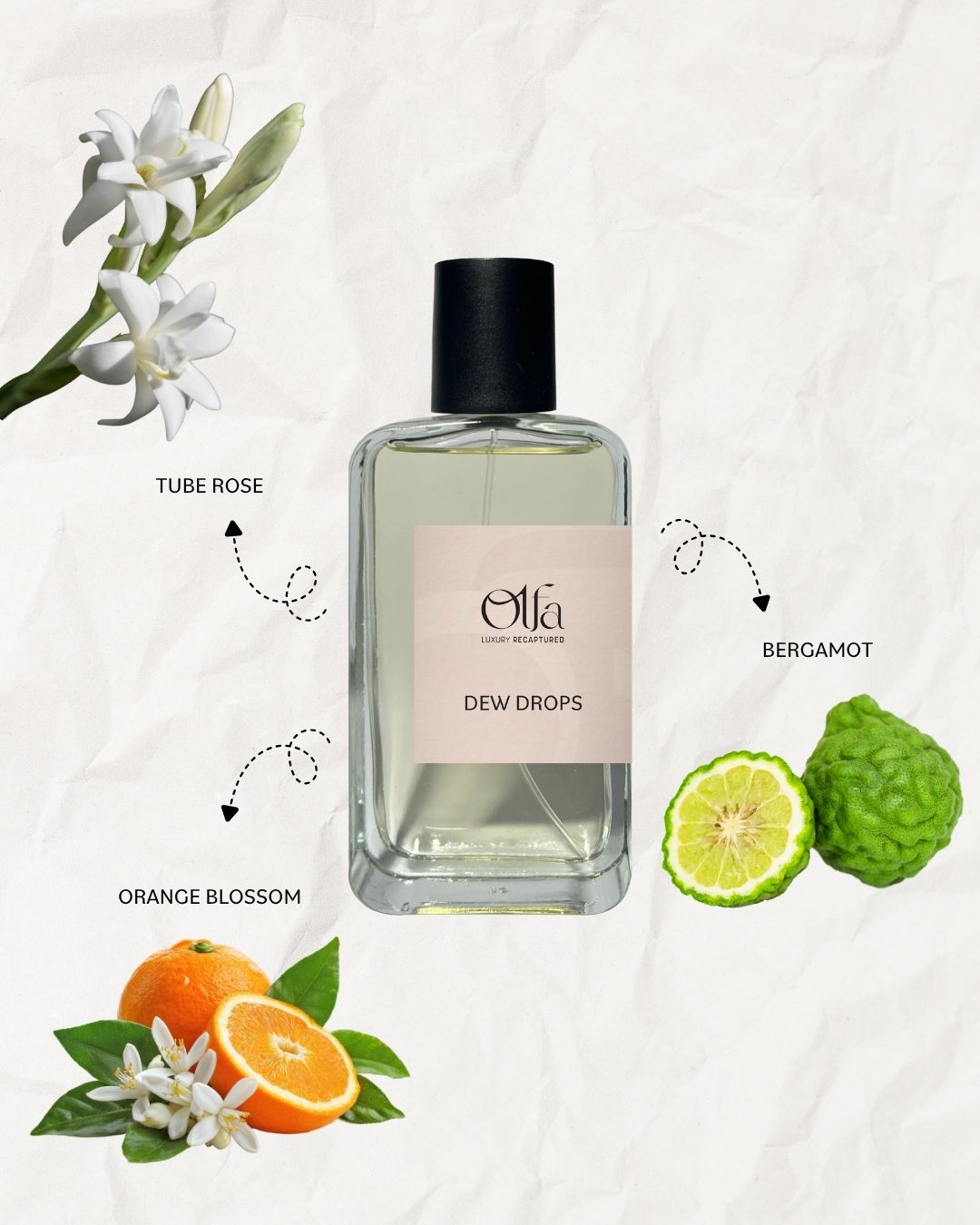 Dew Drops 15 ML
